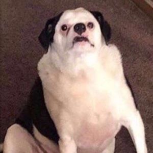 Meet your Posher, Stephen